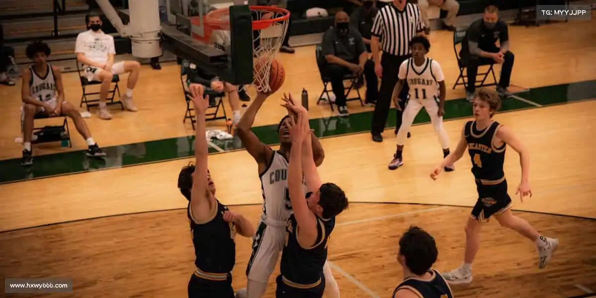 行业领先的理由